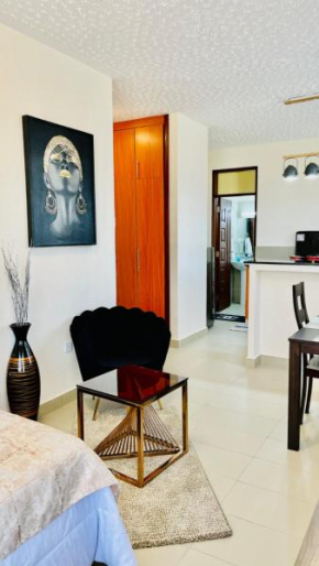 Abbyissa luxury homes